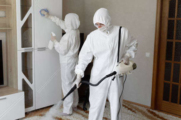Mold Removal Process in Milford Square, PA