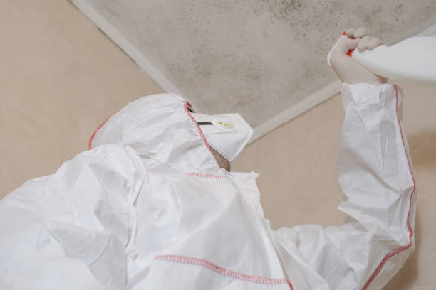 Best Same-Day Mold Removal  in Milford Square, PA