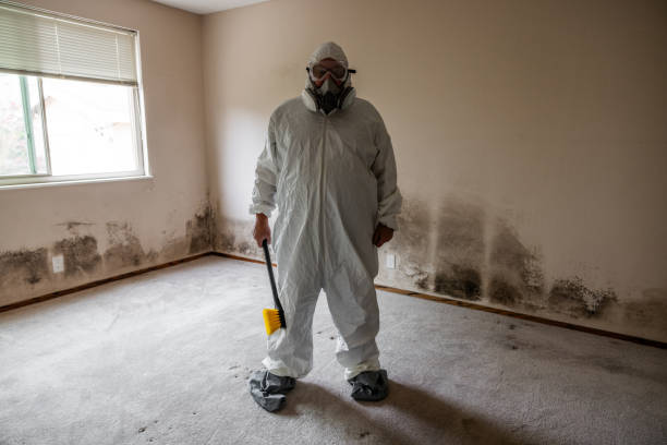 Best Certified Mold Removal  in Milford Square, PA